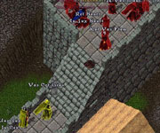 Ultima Online Kpr Sava